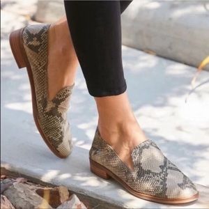 Lucky Brand Cahill Leather Flat Slip On Mule Chinchilla Slither Snake Womens 8.5